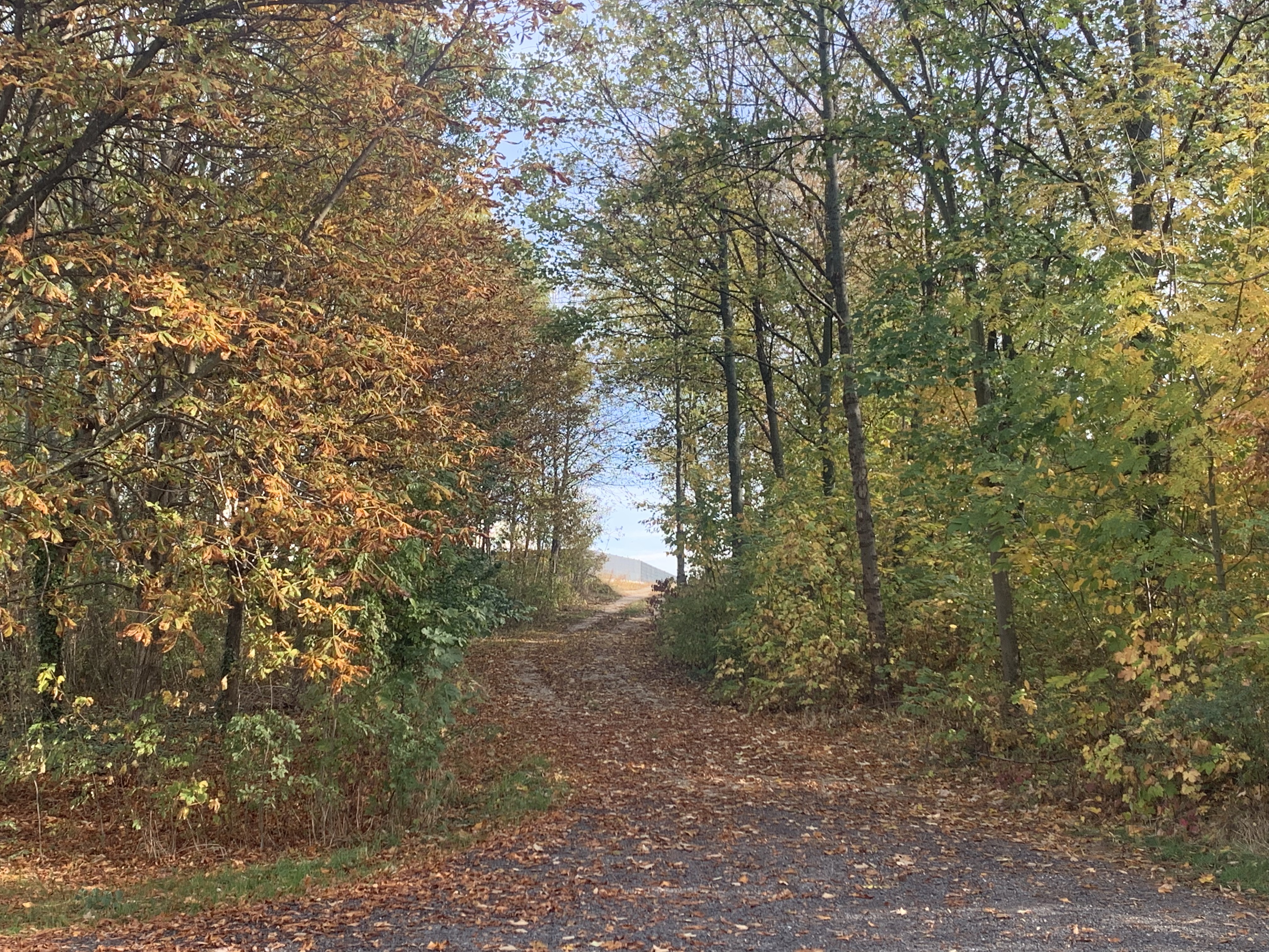 Natur und Entspannung